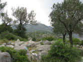 Πατήστε για να μεγαλώσει