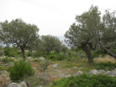 Πατήστε για να μεγαλώσει